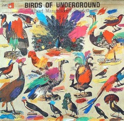 Birds of Underground