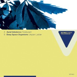 Translucent / Utopian Ladder