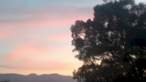 L’abitudine di tornare