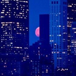 ᨈᨗᨕᨑᨕᨆᨙᨊᨈᨔ