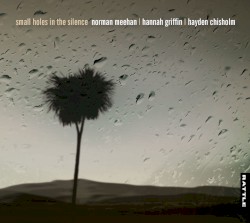 Small Holes in the Silence