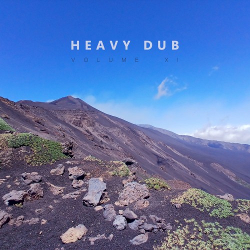 Heavy Dub Vol. 11