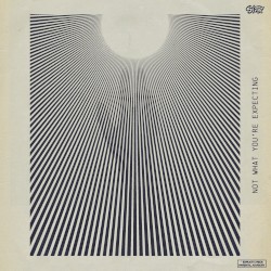 Not What You’re Expecting