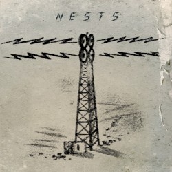 Nests