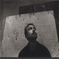 Tribus
