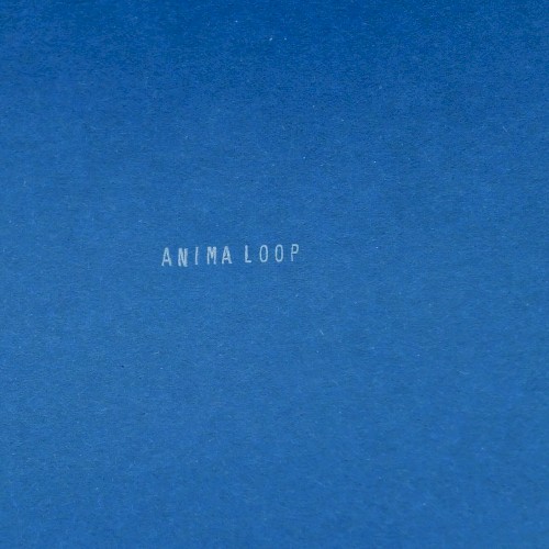 ANIMA LOOP