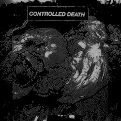 Beautiful Decomposition