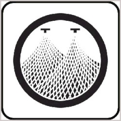 A Life Saved by a Spider and Two Doves