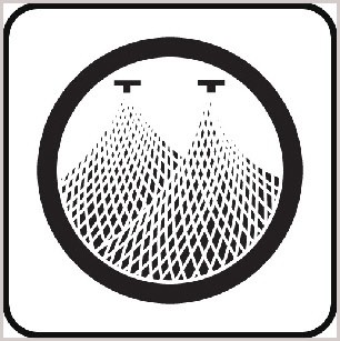 A Life Saved by a Spider and Two Doves