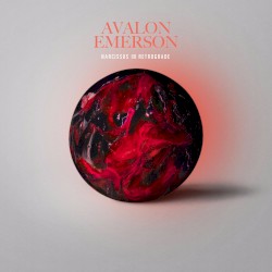 Narcissus in Retrograde