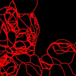 Music for the Anxious