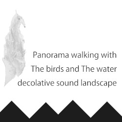 Panorama walking with The birds and The water decolative sound landscape
