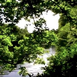 𐔌՞. .՞𐦯 今度は今度。今は今. ݁⟡ ꫂ᭪ ݁˖ . ݁