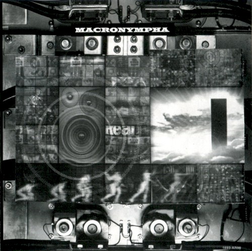 Membranes and Black Holes