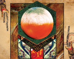 Novasak / Human Fluid Rot / Fail / Vasectomy Party