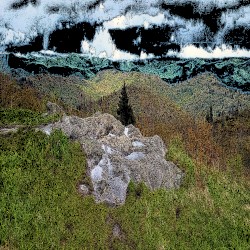 Music for Long Attention Spans, Vol. 19