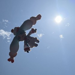 Jamie P Jam Pack - April 2024