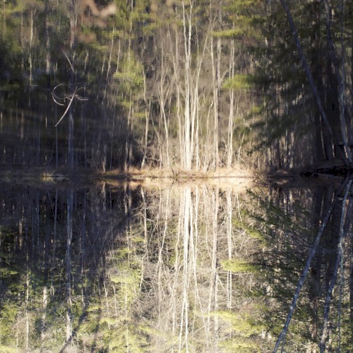 LEM : Volume 1, January 2010