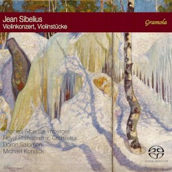 Violinkonzert / Violinstücke