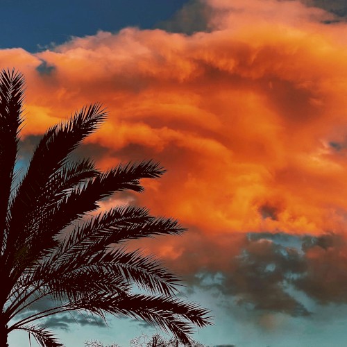 For What It’s Worth