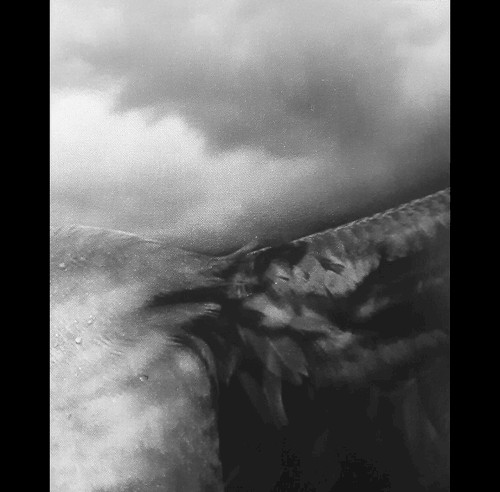 Improvisations for Nylon String Guitar, Part II