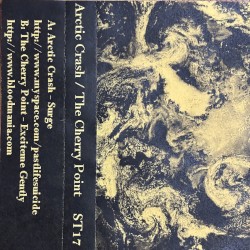 Arctic Crash / The Cherry Point