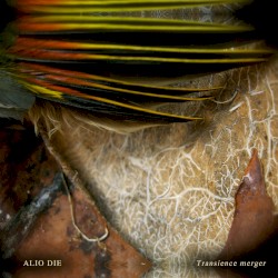 Transience Merger