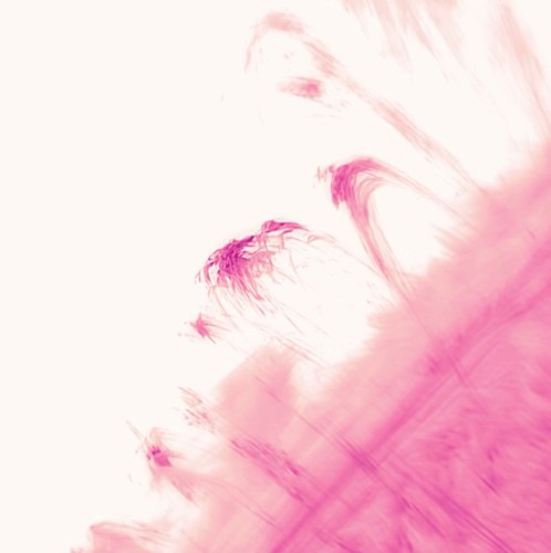 These Are the Good Days