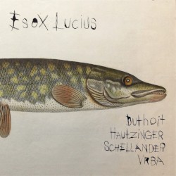 Esox Lucius