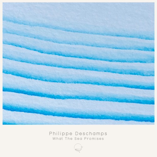 What the Sea Promises