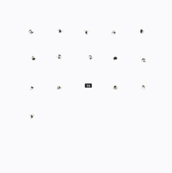 FatCat Split Series #15