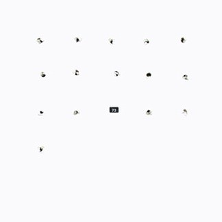 FatCat Split Series #15