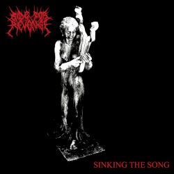 Sinking The Song