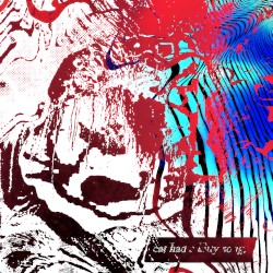 cat had a kitty song.