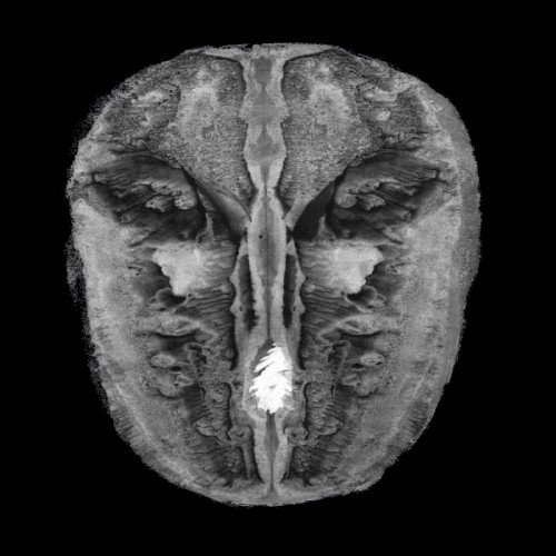 Die Gesänge des Maldoror