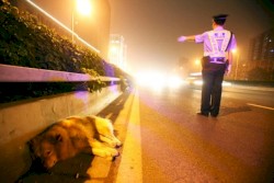 Strangers No More EP