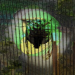 Music for Long Attention Spans, Vol. 22