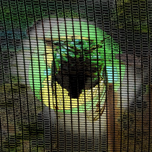 Music for Long Attention Spans, Vol. 22