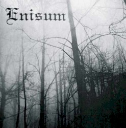Enisum