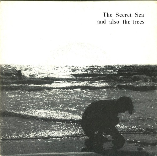 The Secret Sea
