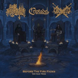 Before the Fire Fades