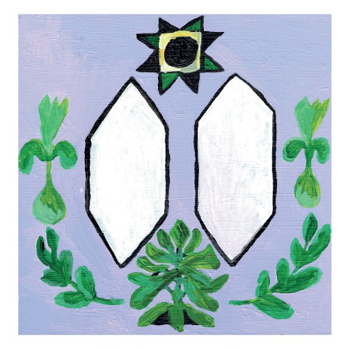 Kasveille ja eläimille