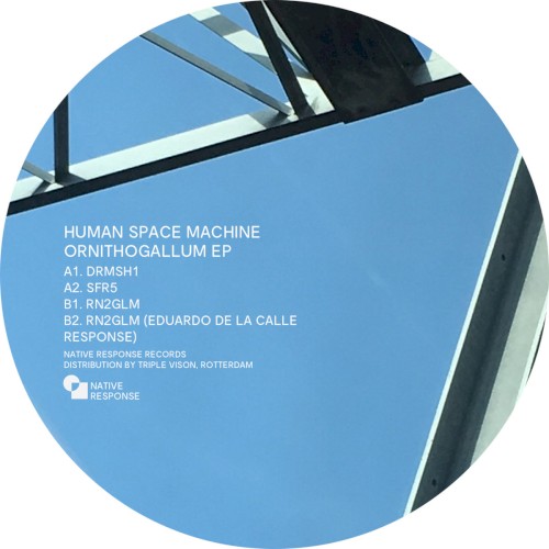 Ornithogallum EP