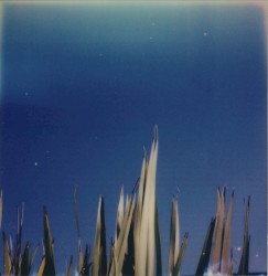 You Lose Yourself, and That's OK