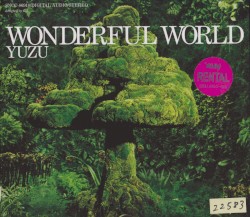 WONDERFUL WORLD
