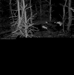 Symphony for the Black Murder