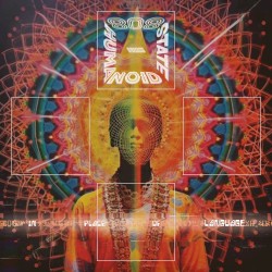 In Place of Language