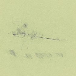 Asleep in a beached boat