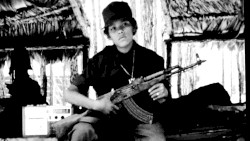 The Common Denominator of the Universe Is Not Harmony but Chaos, Hostility & Murder