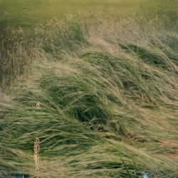 Slow spark, soft spoke